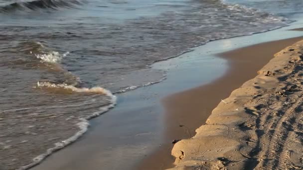 Havet vågor på stranden. — Stockvideo