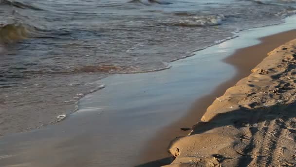 Beine des Mannes, der am Strand geht — Stockvideo