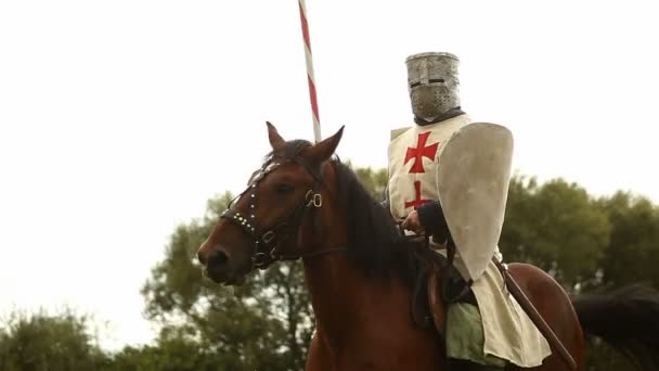 Medieval knight on horseback. — Stock Video