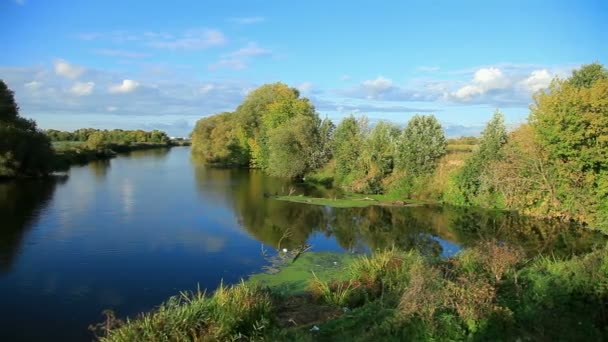 Paisaje con un río — Vídeo de stock