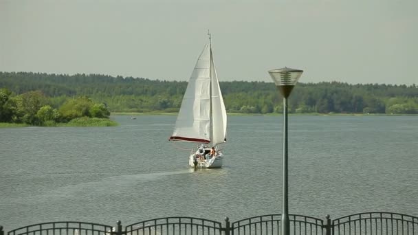 Яхта на озере — стоковое видео