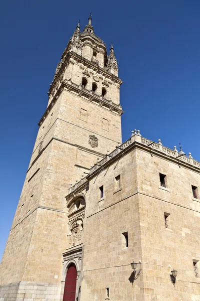 Eski Salamanca cathedral — Stok fotoğraf