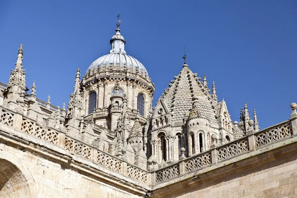 Salamanca gamla och nya domkyrkor — Stockfoto