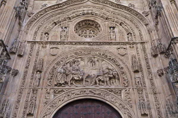 Salamanca Catedrala Noua — Fotografie, imagine de stoc