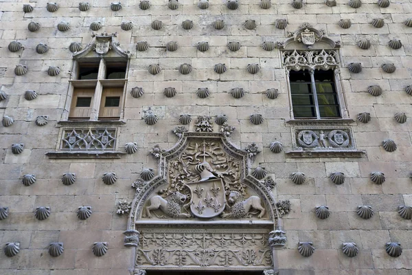 Salamanca Casa de las Conchas — Stock fotografie