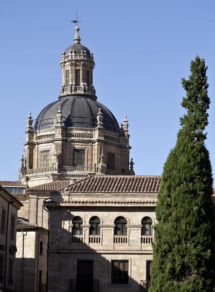 Salamanca Cúpulas — Foto de Stock