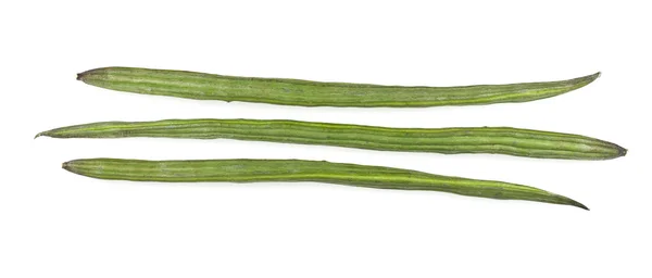 Drumstick groente of moringa — Stockfoto