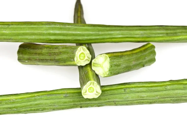 Baqueta vegetal ou moringa — Fotografia de Stock