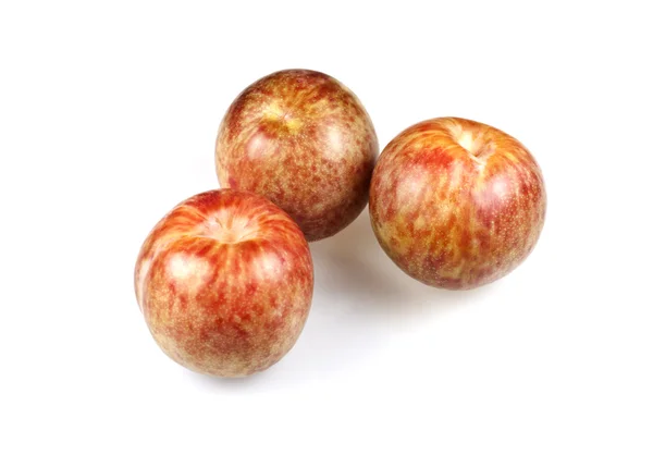 Pluots — Stockfoto