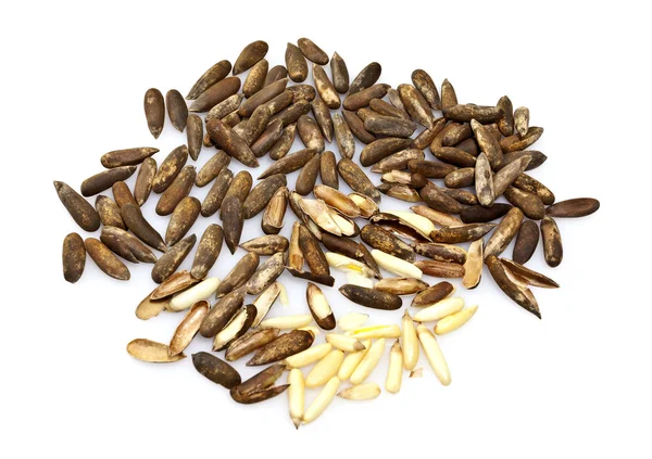 Jalghoza or Pine Nuts — Stock Photo, Image
