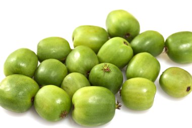 kivi berry veya actinidia arguta