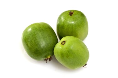kivi berry veya actinidia arguta