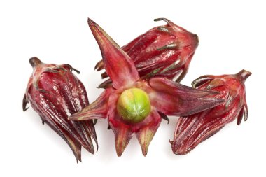 Roselle