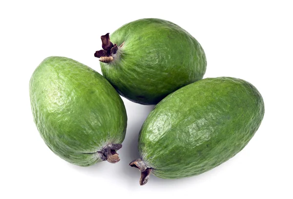 Affaire Feijoa — Photo