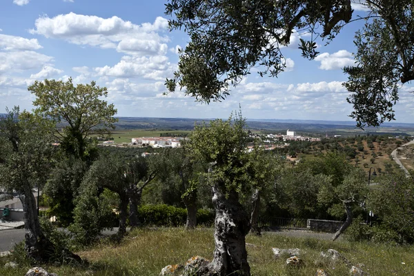 Vue panoramique de Serpa, Portugal — Photo