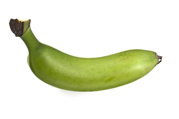 Plantain — Stock Photo, Image