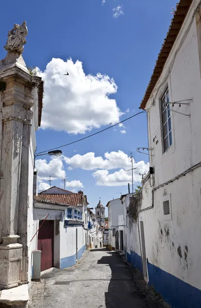 Gatorna i borba, portugal — Stockfoto