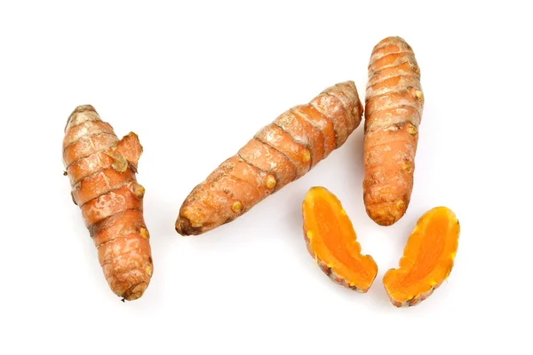 Fresh Turmeric or Curcuma Rhizome — Stock Photo, Image