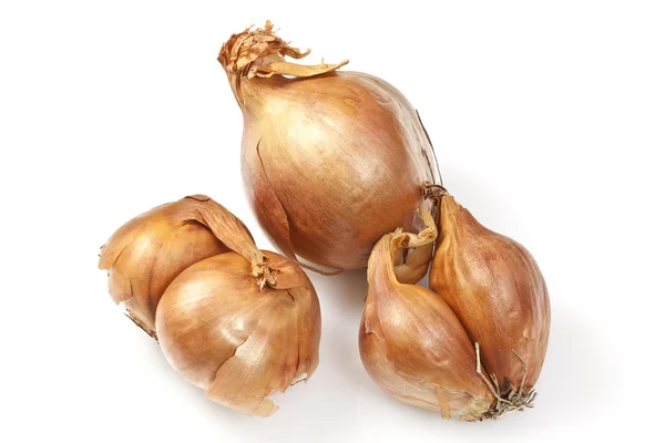 Golden Shallots — Stock Photo, Image