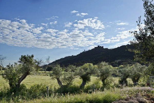 Monsaraz, tepe köy alentejo, Portekiz — Stok fotoğraf