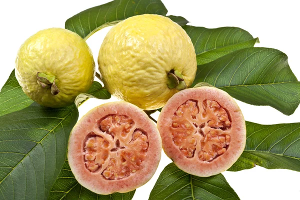 Färsk guava frukt — Stockfoto