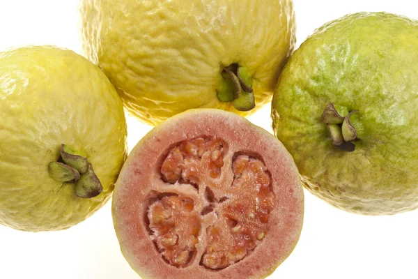 Färsk guava frukt — Stockfoto