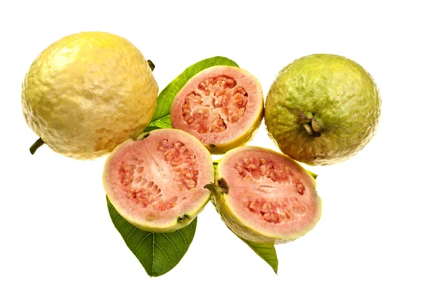 Fruta de guayaba fresca —  Fotos de Stock