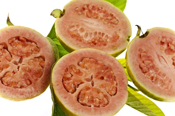 Friss guava gyümölcs — Stock Fotó