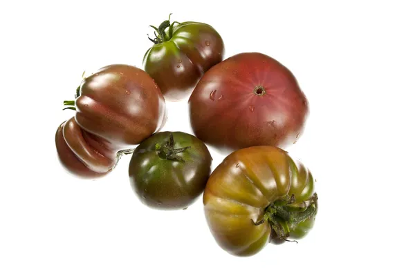Tomat hitam Rusia — Stok Foto