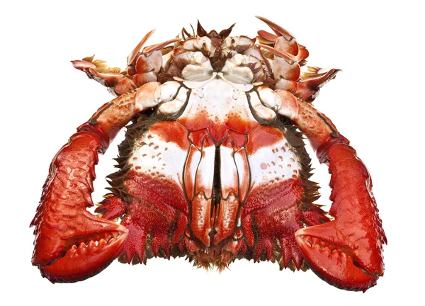 Clé à molette Crabes — Photo