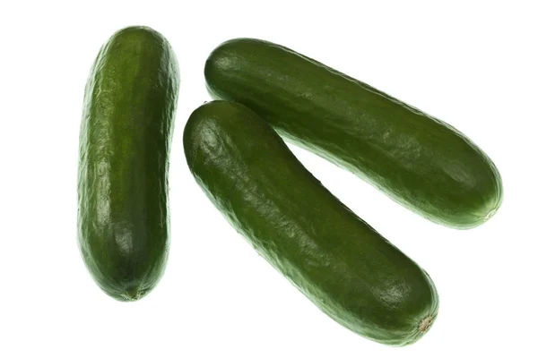 Baby Cucumber — Stock Photo, Image
