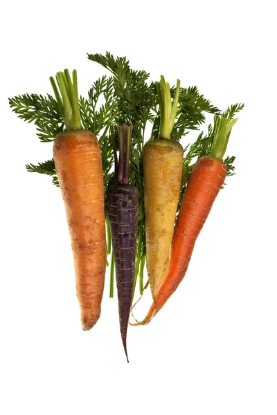 Cenouras coloridas frescas — Fotografia de Stock