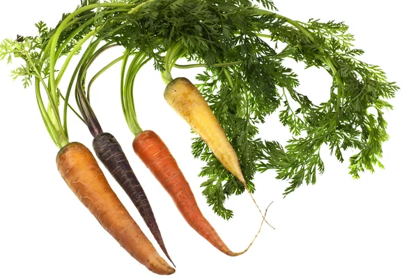 Морква свіжа кольорові — Stock Fotó