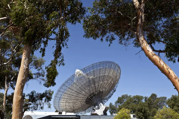 Radioteleskopschüssel in Parkhäusern, Australien — Stockfoto