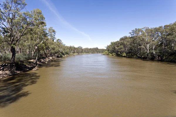 Murray River — Zdjęcie stockowe