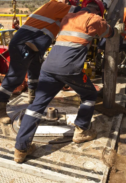 sondaj platformu üzerinde çalışan