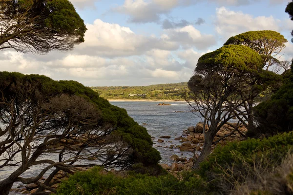 Kaap naturalisme bankier bay — Stockfoto