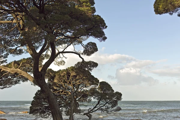 Cape naturaliste bankéř záliv — Stock fotografie