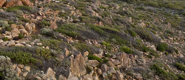 Cabo Naturaliste Gneiss — Foto de Stock