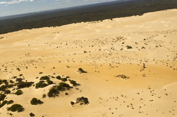 O Deserto dos Pináculos — Fotografia de Stock