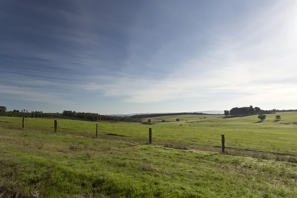 Australia rurale in inverno — Foto Stock