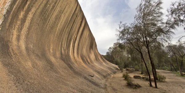 Wave Rock — Stockfoto