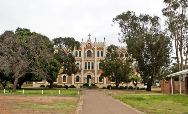 Nová škola boys norcia — Stock fotografie