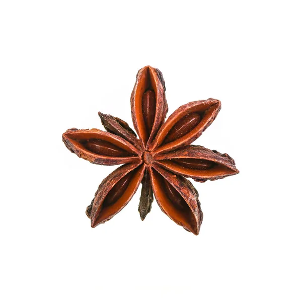 Star Anise Fruit Plant Called Illicium Verum Evergreen Native Vietnam — Stockfoto