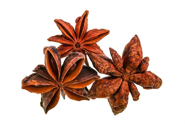 Star Anise Fruit Plant Called Illicium Verum Evergreen Native Vietnam — Fotografia de Stock