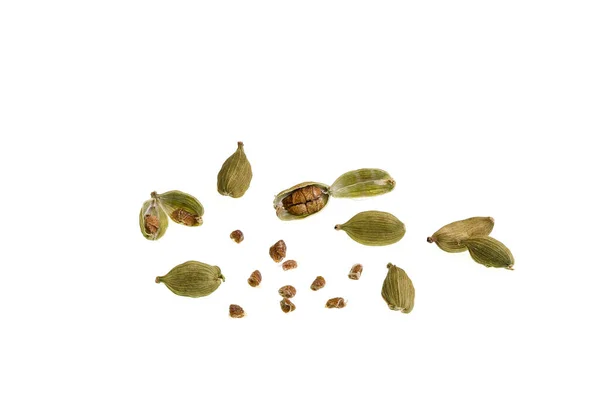 Cardamom Spice Made Seeds Plants Genera Elettaria Family Zingiberaceae Native — Fotografia de Stock