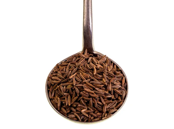 Caraway Seeds Dried Fruit Caraway Plant Carum Carvi Biennial Plant — 스톡 사진
