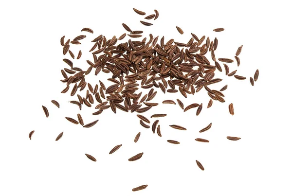 Caraway Seeds Dried Fruit Caraway Plant Carum Carvi Biennial Plant — Stock Photo, Image