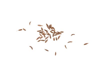 Cumin is a flowering plant, Cuminum cyminum, in the family Apiaceae, native to the Irano-Turanian region. The seeds are used in cuisines of many cultures.