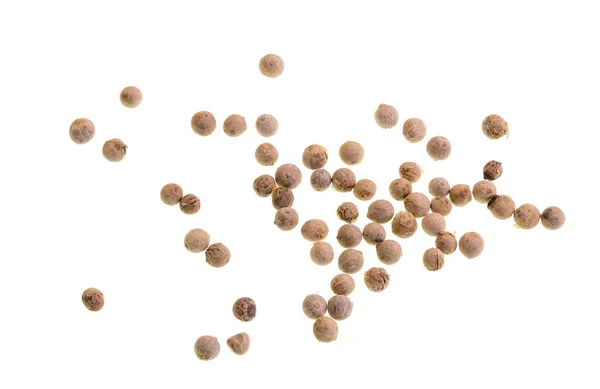 White Peppercorns Isolated White Background — Stock Photo, Image